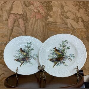 Pair of Cedar Bird Side Plate #43 Alfred Meakin England Audubon BoA